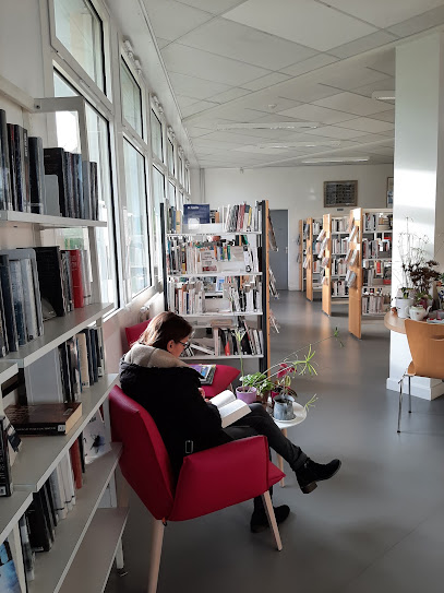 Médiathèque Municipale De La Cavale Blanche, Bibliothèque à Brest