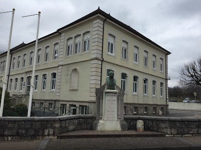 Bibliothèque, Bibliothèque à Saint-Julien-en-Genevois