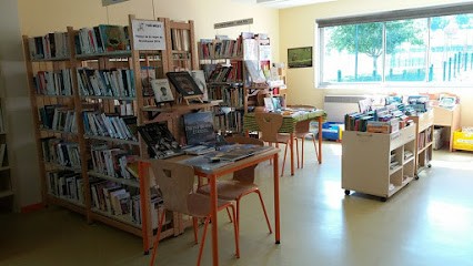 Bibliothèque De Brenthonne, Bibliothèque à Brenthonne