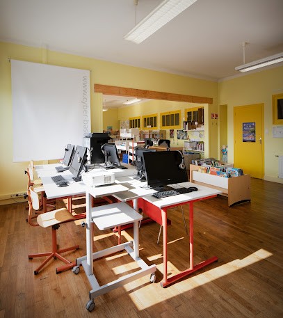 Bibliothèque De Meslin, Bibliothèque à Andel