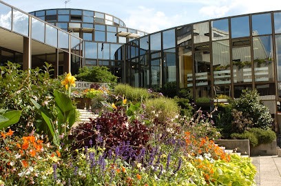 Mediatheque Elie Chamard, Bibliothèque à Cholet
