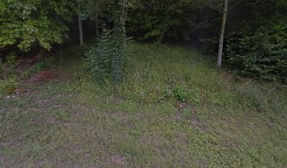 Bibliothèque François Rabelais, Bibliothèque à Coulounieix-Chamiers