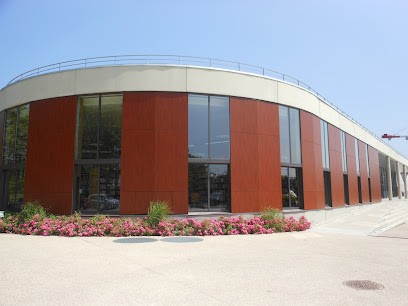 La Bibliothèque du Chesnay, Bibliothèque au Chesnay