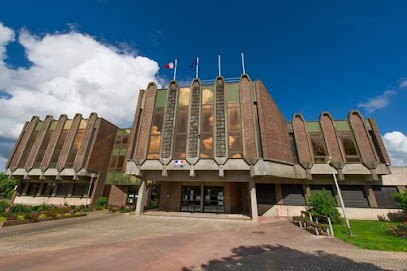 Bibliothèque De Leffrinckoucke, Bibliothèque à Leffrinckoucke