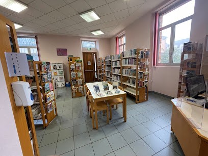 Médiathèque De Lavit, Bibliothèque à Lavit