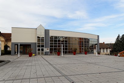 Bibliothèque Adrien Printz, Bibliothèque à Serémange-Erzange