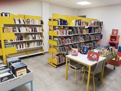 Bibliothèque De Saint-Hilaire, Bibliothèque à Saint-Hilaire