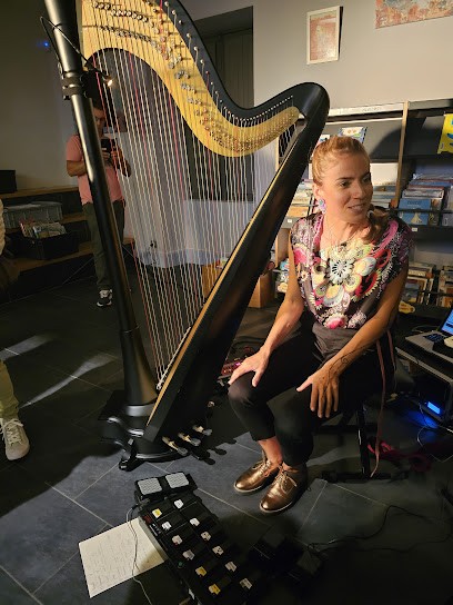 Médiathèque, Centre Culturel Du Sacré-Coeur, Bibliothèque à Montricoux