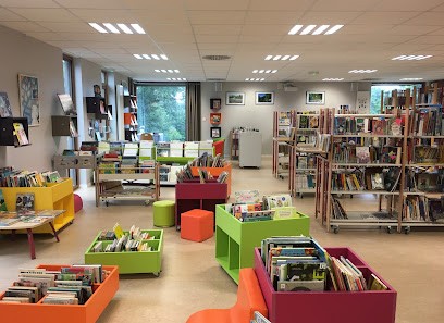 Bibliothèque, Bibliothèque à Guipel