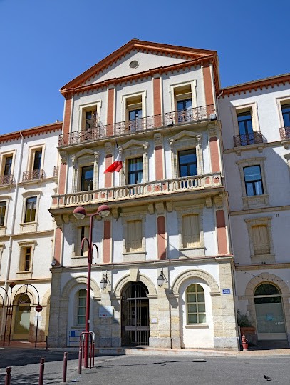 Médiathèque Hervé Bazin, Bibliothèque à Amélie-les-Bains-Palalda