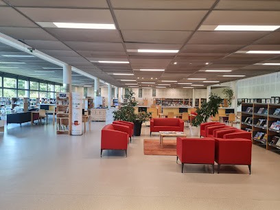 Bibliothèque De Francheville, Bibliothèque à Francheville