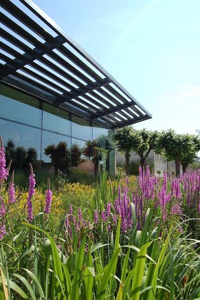 Médiathèque Léo-Ferré, Bibliothèque à Marcoussis