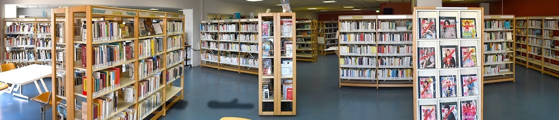 Bibliothèque Du Merlan, Bibliothèque à Marseille 14