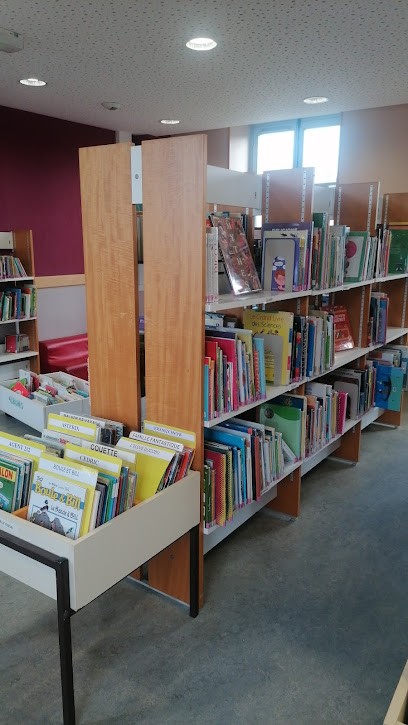Médiathèque De Villeneuve-en-perseigne, Bibliothèque à Villeneuve-en-Perseigne