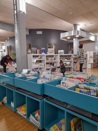 Médiathèque Municipale Louise Labé, Bibliothèque à Saint-Chamond