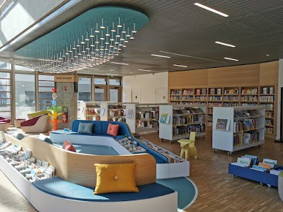 Médiathèque De Rillieux-La-Pape, L'échappée, Bibliothèque à Rillieux-la-Pape