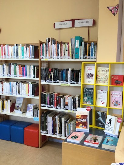 Mayor - Bibliothèque, Bibliothèque à Courcemont