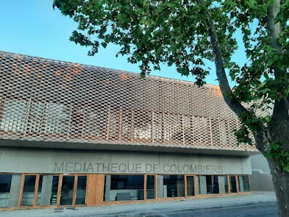 Médiathèque de Colombiers, Bibliothèque à Colombiers