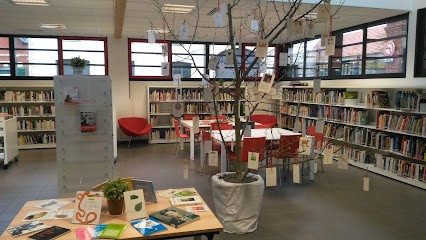 Médiathèque Albert Uderzo, Bibliothèque à Anzin-Saint-Aubin