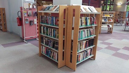 Médiathèque Boris Vian, Bibliothèque à Louviers