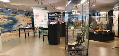 Bibliothèque Universitaire Ucbl Lyon 1, Bibliothèque à Villeurbanne