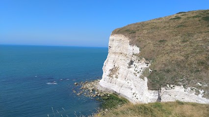 L'ESCALE Médiathèque, Bibliothèque à Saint-Jouin-Bruneval