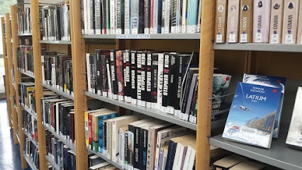 Médiathèque de Carentoir, Bibliothèque à Carentoir