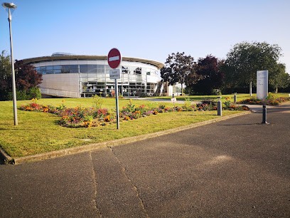 Médiathèque d'Avoine, Bibliothèque à Avoine
