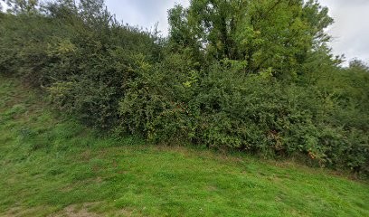 Bibliothèque Lou Libre, Bibliothèque à La Séauve-sur-Semène