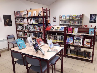 Bibliothèque Saint Broladre, Bibliothèque à Saint-Broladre