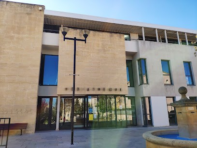 Bibliothèque René Char, Bibliothèque à Rousset