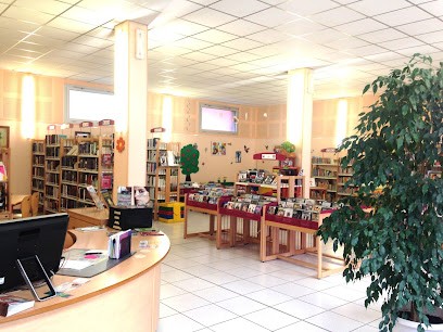 Médiathèque Municipale d'Hesdin, Bibliothèque à Hesdin