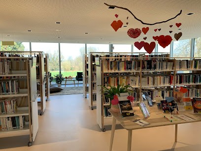 Bibliothèque intercommunale de Luzarches, Bibliothèque à Luzarches