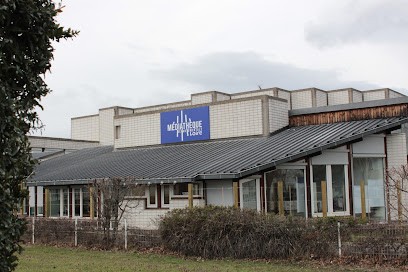 Direction Départementale Du Livre Et Du Multimédia (DDLM) Médiathèque Départementale De La Loire (MDL), Bibliothèque à Montbrison