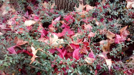 Médiathèque De L'Arche Guédon (prêts à Emporter Au 26, Cours De L'Arche Guédon), Bibliothèque à Torcy
