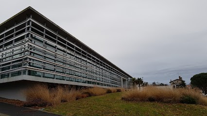 Mediatheque Chalosse Tursan - Ecole De Musique, Bibliothèque à Hagetmau