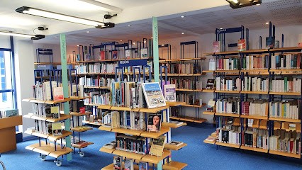 Bibliothèque, Bibliothèque à Desvres