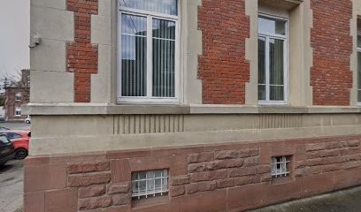 Bibliothèque nesle, Bibliothèque à Nesle