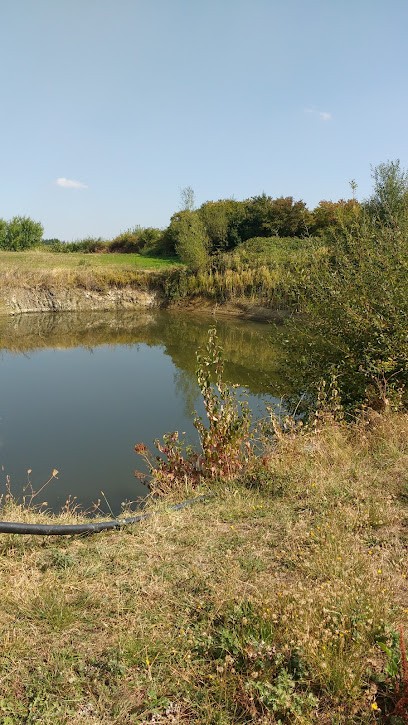 Bibliothèque De Chagnon, Bibliothèque à Chagnon