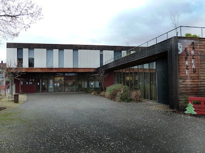 Bibliothèque, Bibliothèque à Holtzheim