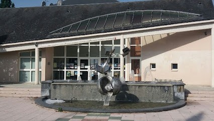Bibliothèque D'ormes, Bibliothèque à Ormes