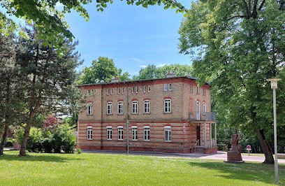 DLPB Dieuze, Bibliothèque à Dieuze