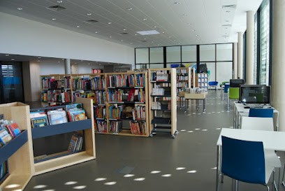 Bibliothèque De Drusenheim, Bibliothèque à Drusenheim
