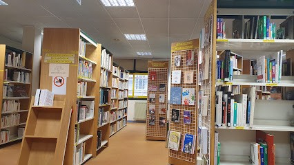 Bibliothèque René Cassin, Bibliothèque à Livry-Gargan