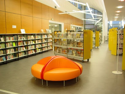 Bibliothèque, Bibliothèque à Saint-Doulchard
