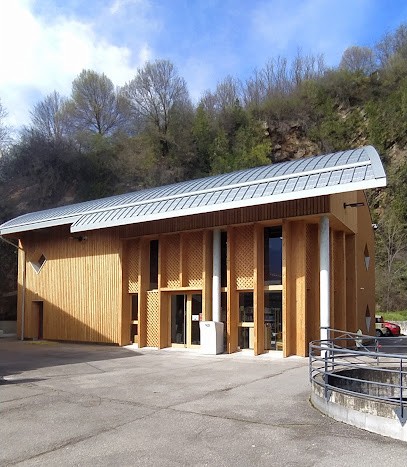 Bibliothèque Pierre Fugain, Bibliothèque à Saint-Martin-le-Vinoux