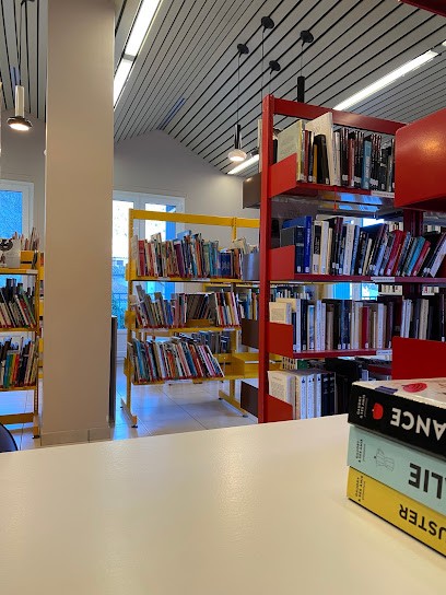 Mediathèque André-Roman, Bibliothèque à Sisteron