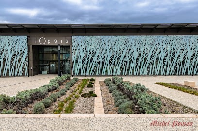 Opsis, Bibliothèque à Roche-la-Molière