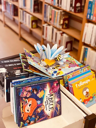 Bibliothèque, Bibliothèque à Limoux