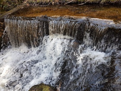 Bibliothèque De Gumières, Bibliothèque à Gumières